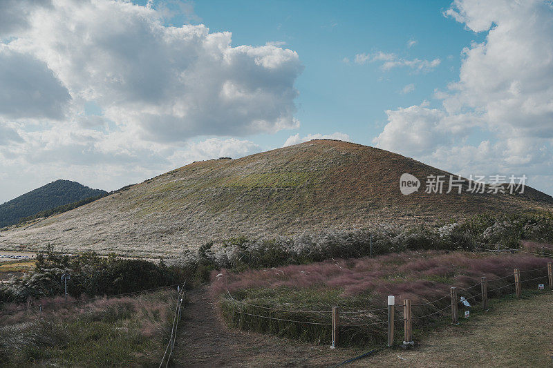 芦苇Oreum(济州岛)