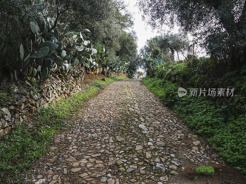 石山小径在树木和石墙之间，复制空间