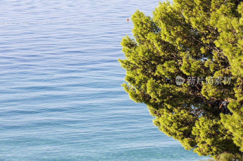 克罗地亚达尔马提亚海岸白天的自然抽象背景