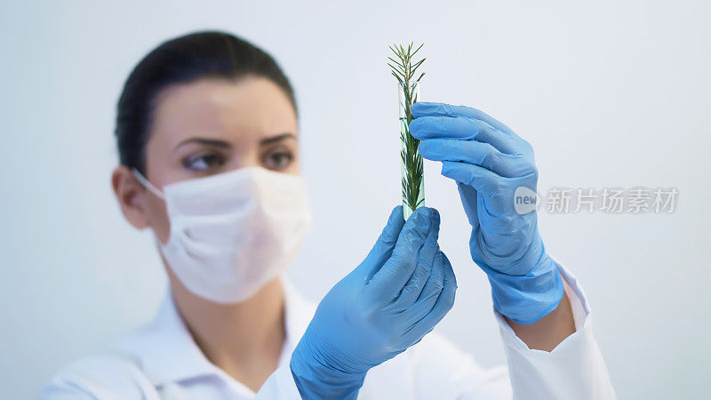 年轻的女性生物学家在工作