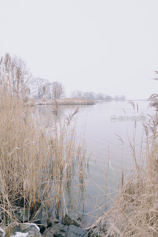 荷兰Zwolle附近的IJssel河的冬季景观