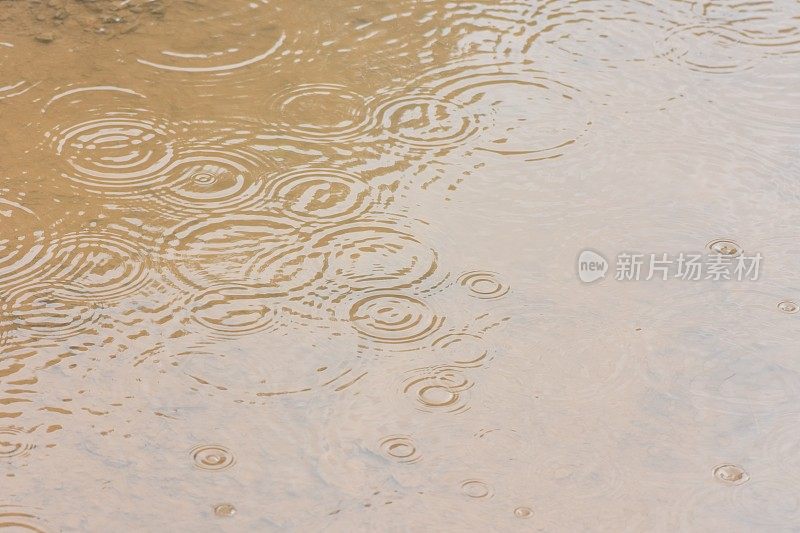 雨落在水坑里