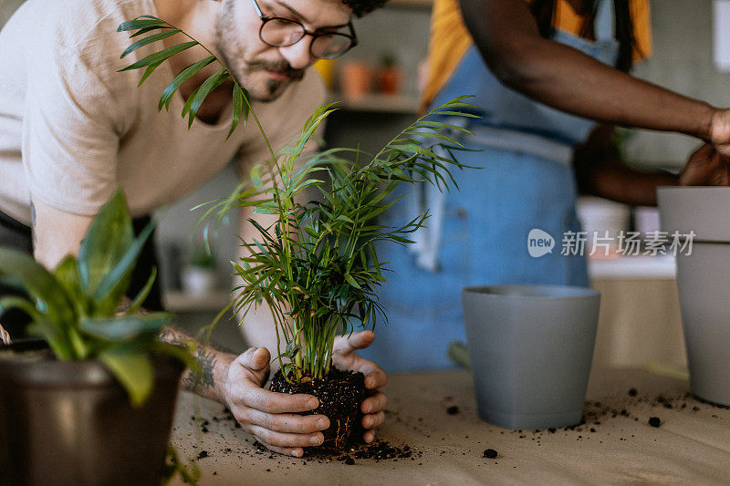 加入让植物长得更好