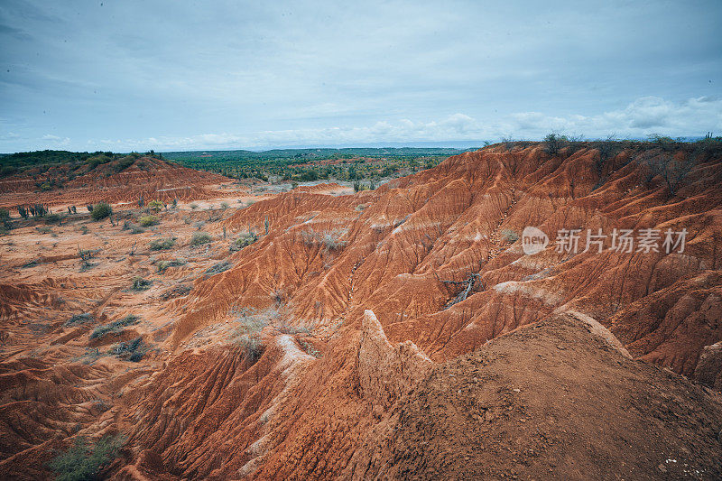 塔塔科亚沙漠景观概述