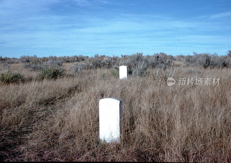 坟墓在草地上