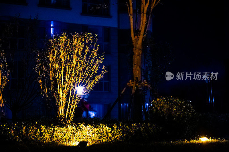 花坛的夜景与节能灯，室外灯(灯笼，护柱)照亮了花园的人行道在晚上