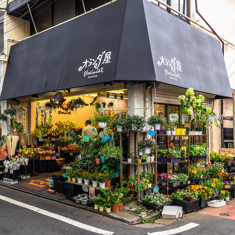 东京世田谷附近一条街上的一家彩色花店