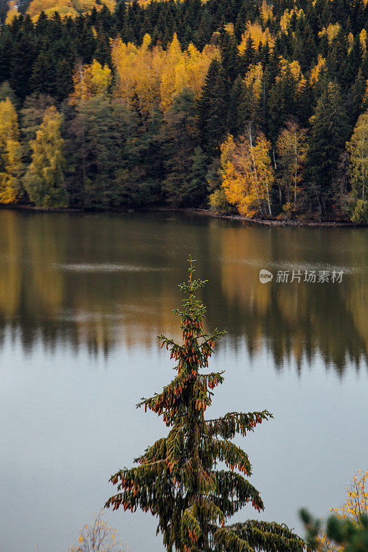 秋天的芬兰风景与湖泊和森林