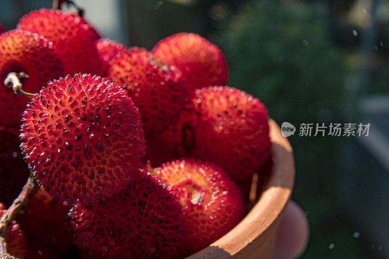 有机草莓树果实。