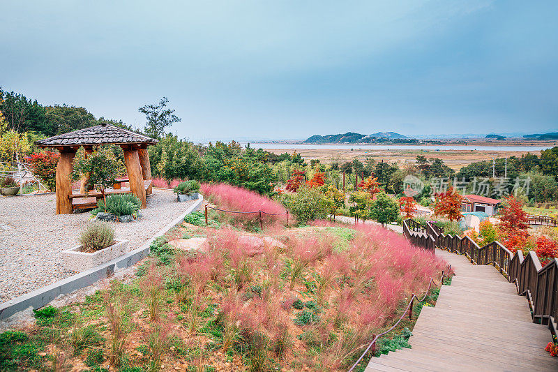 韩国安山大部八田香基植物园的秋日自然风光