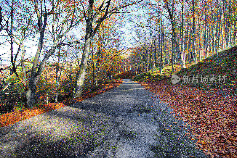 意大利托斯卡纳基安蒂地区秋天的乡村公路