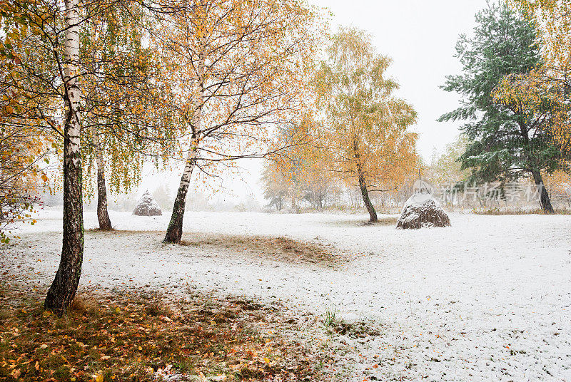 立冬第一场雪。