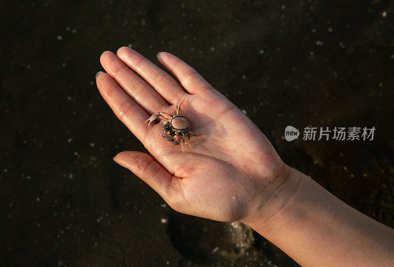 手里拿着螃蟹的女孩