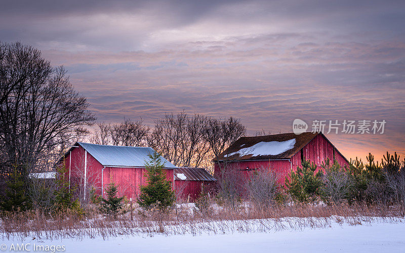 红色谷仓在威斯康辛农村的冬天日出