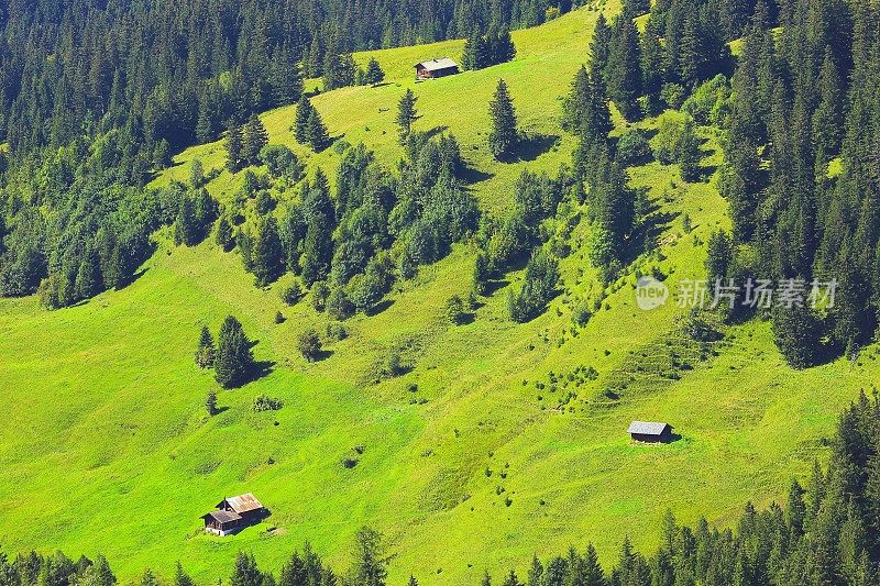 田园诗般的瑞士高山草甸，恩加丁上谷仓农场:瑞士阿尔卑斯山