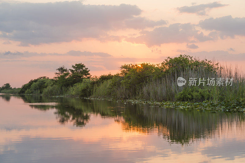 佛罗里达大沼泽地日落湿地水渠景观