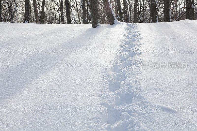 雪地上的足迹