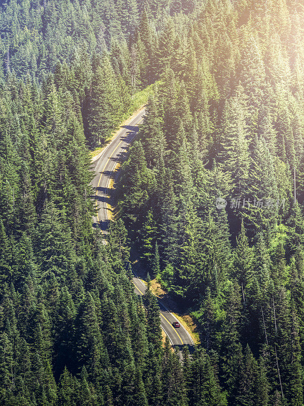 通往雷尼尔山的蜿蜒道路