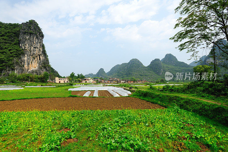 山丘和乡村景色