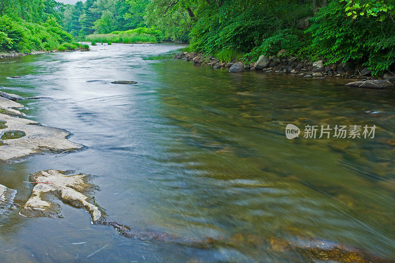 河流与夏日森林