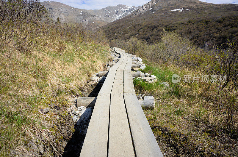 登山路上的木板路