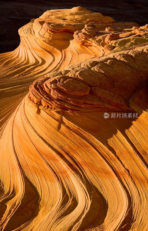 土狼丘旋转岩层