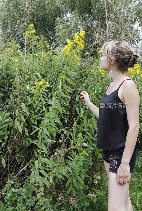 加拿大一枝黄花与户外女孩