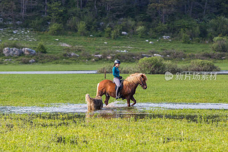骑着冰岛马的年轻女子
