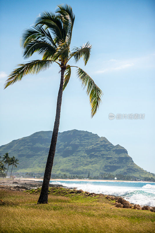 美国夏威夷瓦胡岛的完美海滩