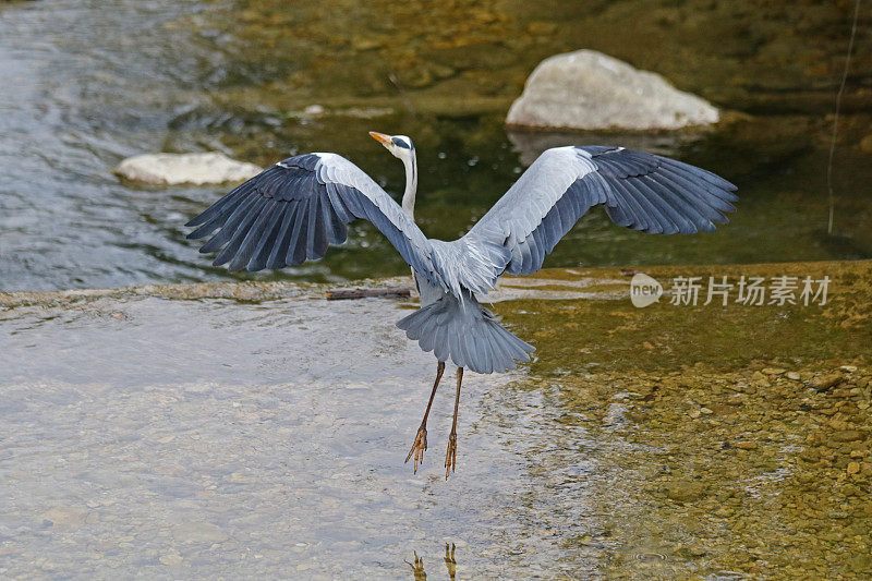 准备着陆