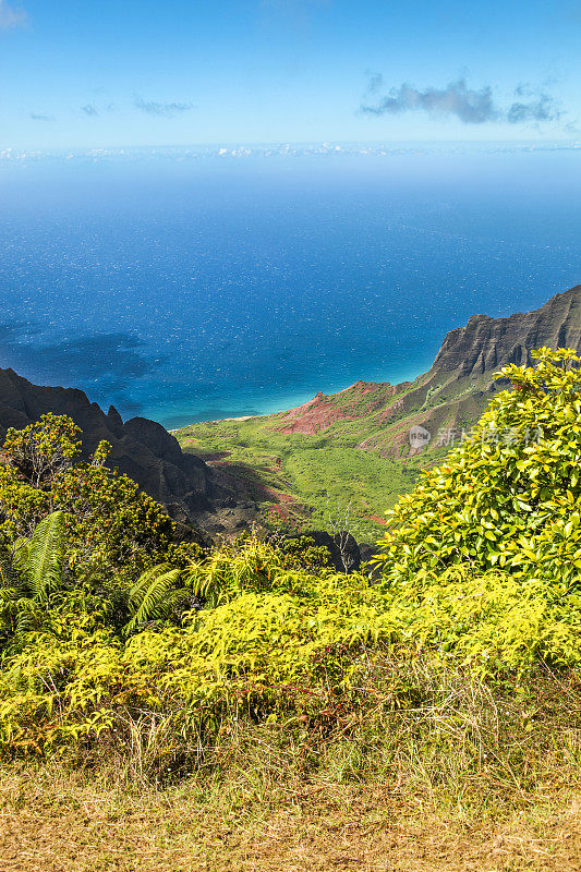 考艾岛的卡拉劳山谷