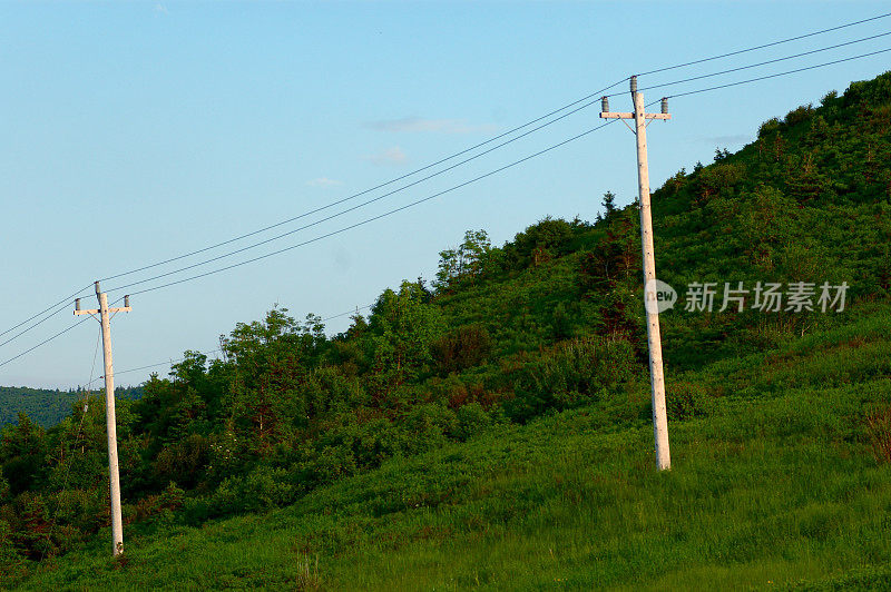 两个电线杆