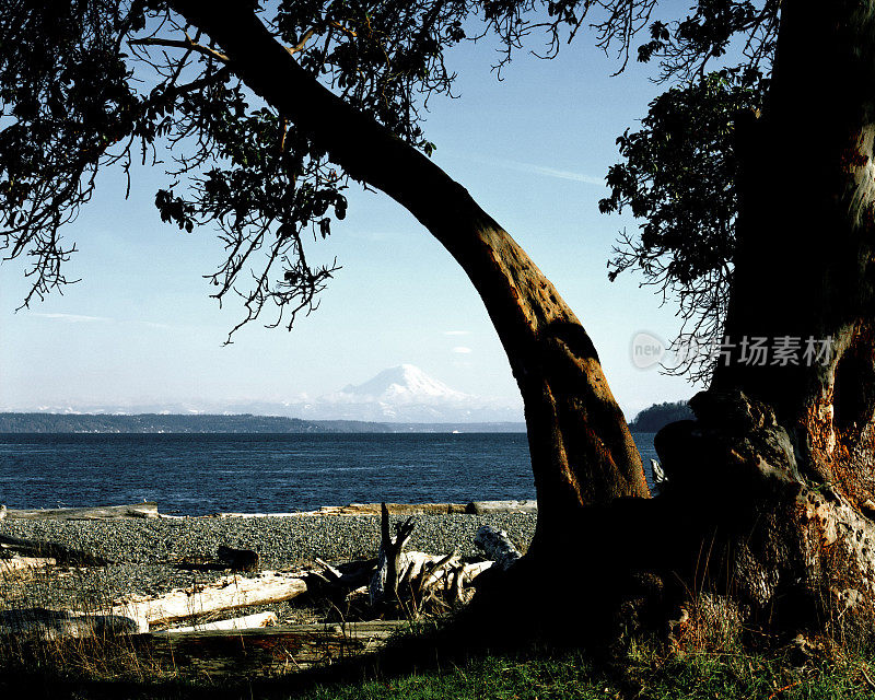 华盛顿普吉特湾岛景