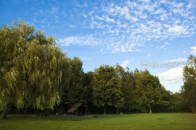 秋天在林间空地，夏末