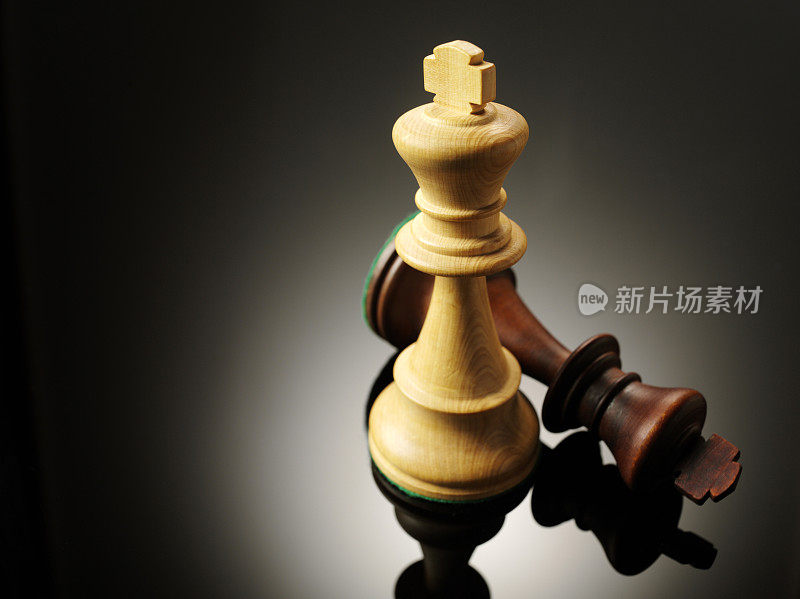 两个国际象棋王