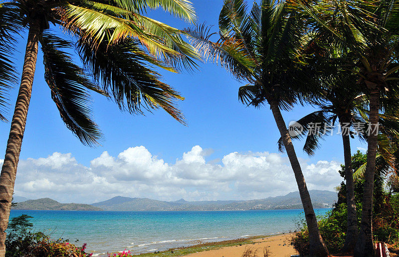 马约特小地堡:海滩和椰子树