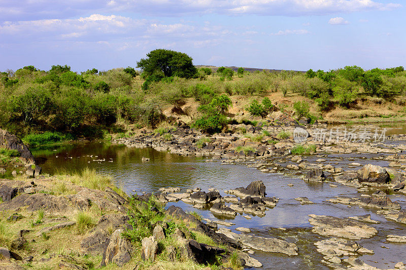 肯尼亚-东非大裂谷中的马拉河