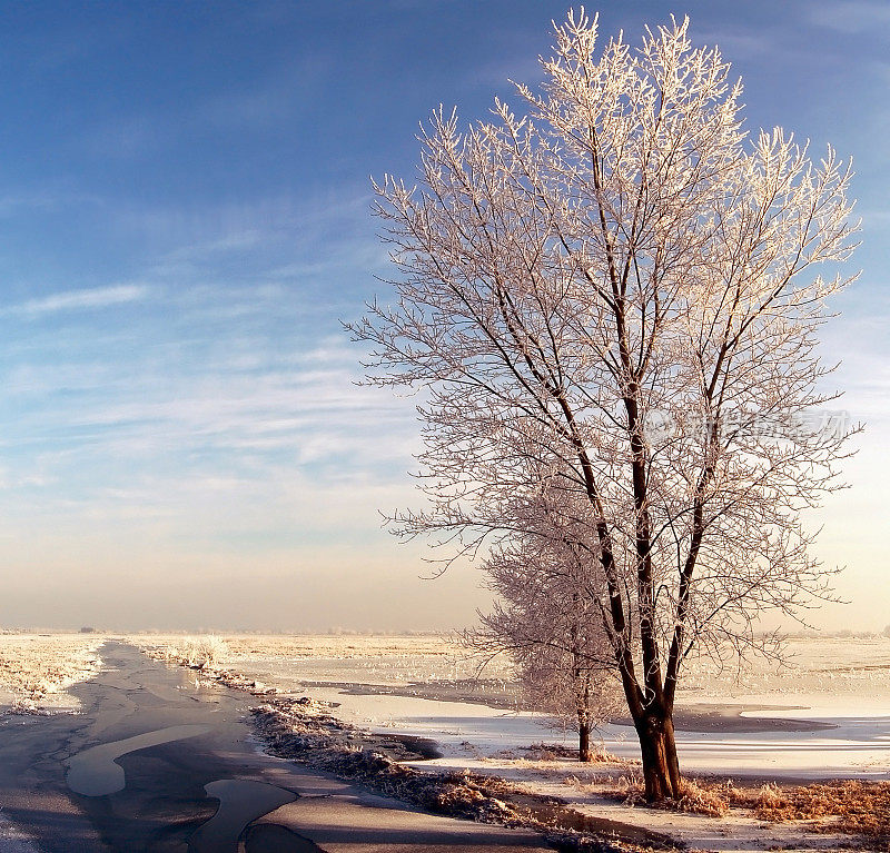 哈维尔河的冬季全景