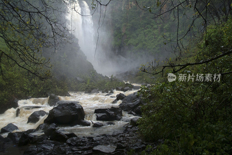 雨林瀑布