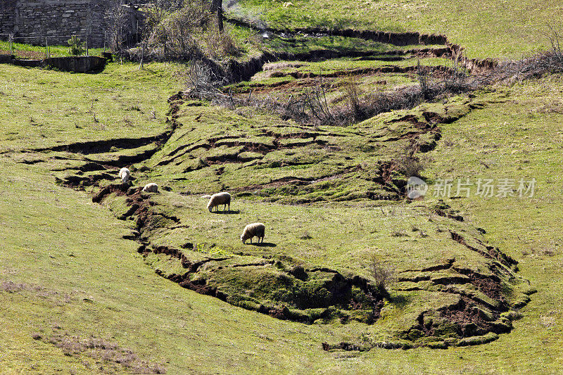 山坡上有滑坡，放牧的羊寥寥无几