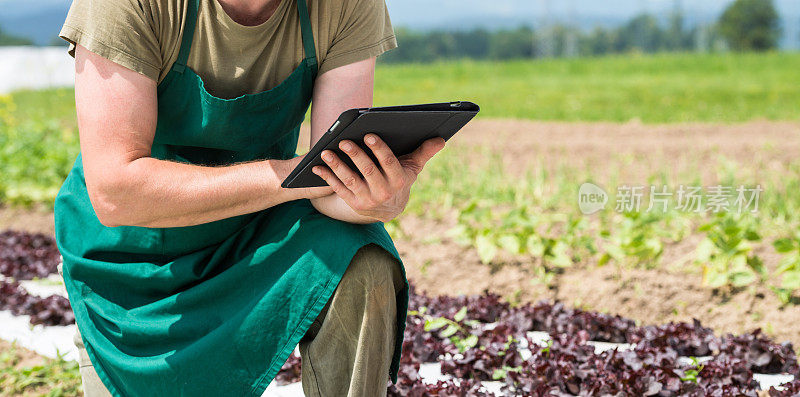 农民用数字平板电脑在田野上