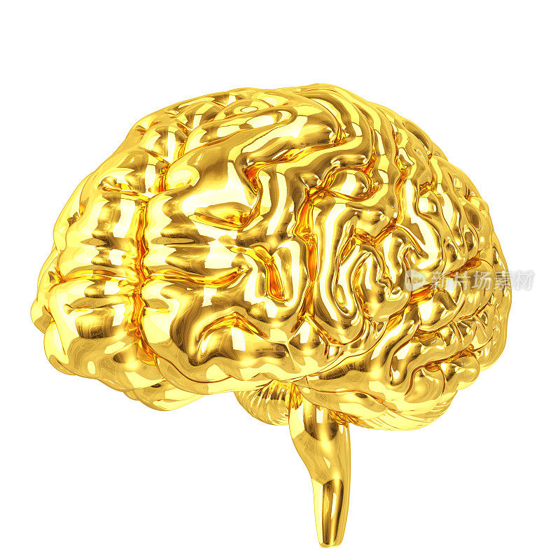 黄金的大脑