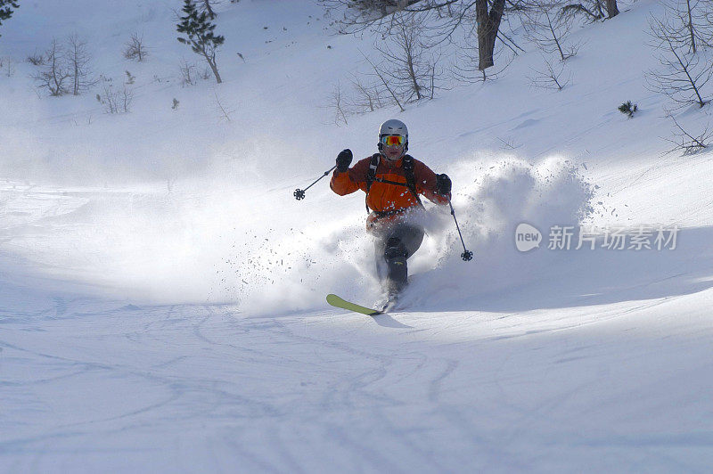 粉滑雪一天