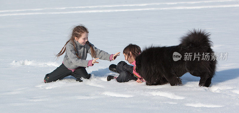 两个女孩和狗在雪中玩耍