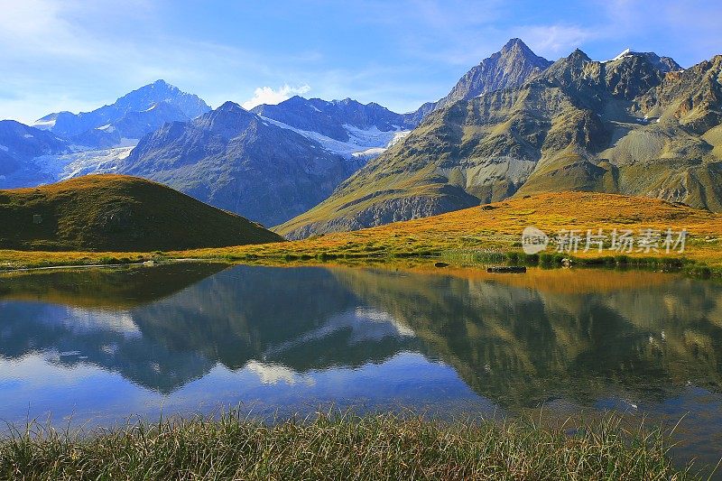 瑞士阿尔卑斯山景观:高山湖泊倒影，金色草甸