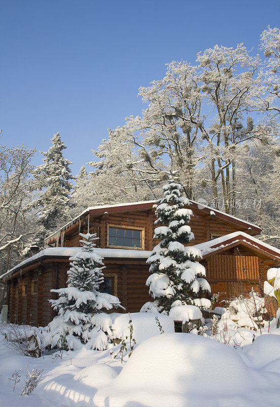 白雪覆盖的度假山间小屋