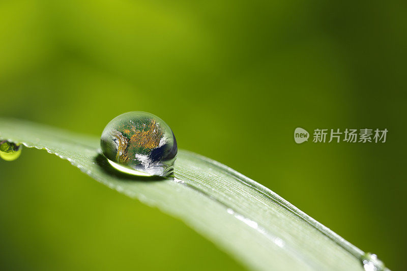 树叶与雨滴-恢复土地的概念