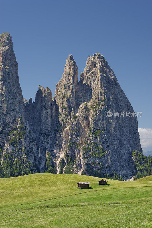 蓝天下的田野风景