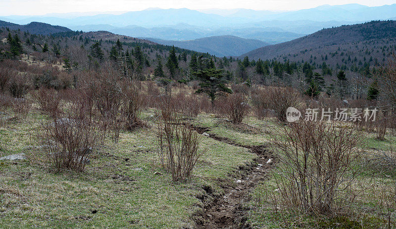 穿过罗杰斯山地区的阿巴拉契亚山道