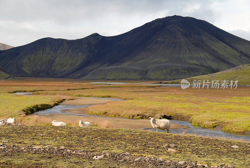 在Landmannalaugar景观,冰岛